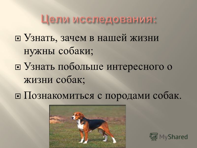 Собак планы