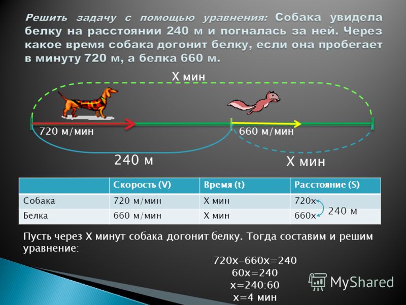 Задача собака. Собака погналась за лисой находящейся.. Догнать собаку. С какой скоростью бегает лиса. Собака гонится за зайцем со скоростью.