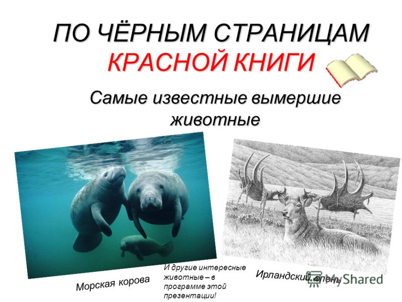 Красная книга красные страницы животные