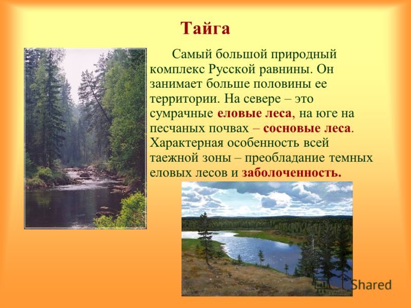 Описание тайги. Природный комплекс тайги. Особенности природы тайги.