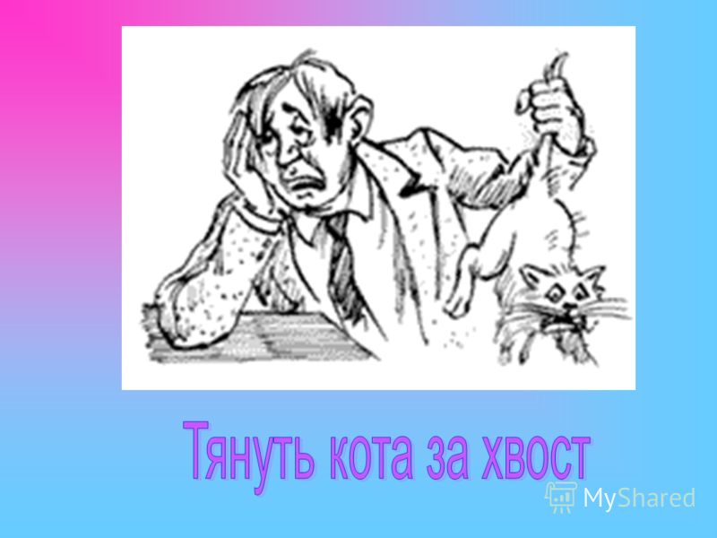 Тянуть кота за хвост. Не будем тянуть кота за хвост. Тянуть кота за хвост картинка. Что значит тянуть кота за хвост.