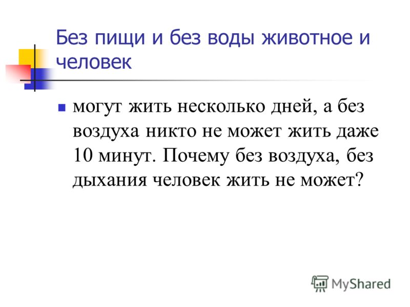 Сколько дней может прожить без еды