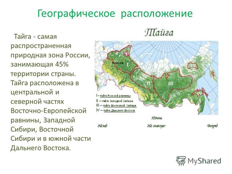 Географическое положение территории. Географическое положение Северной и средней тайги в России. Природная зона Тайга географическое положение. Географическое положение тайги в России карта. Географическое положение природной зоны тайги в России.