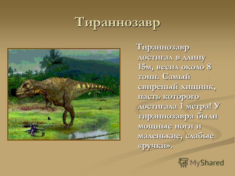 Сообщение о динозаврах 1 класс окружающий мир. Тираннозавр краткое описание 1 класс. Тираннозавр рекс описание для детей 1. Тираннозавр рассказ для 1 класса. Рассказ про динозавров для 1 класса.