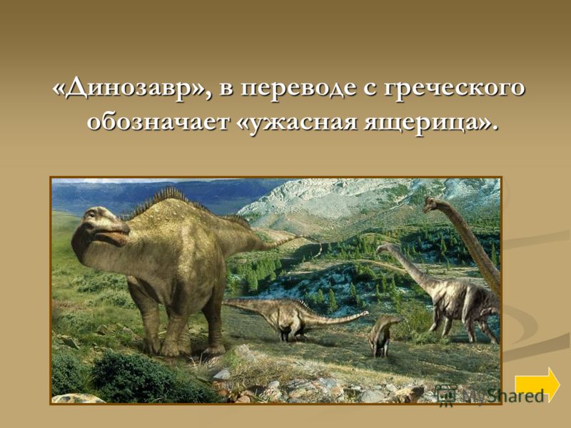 Доклад про динозавров для 1 класса с картинками