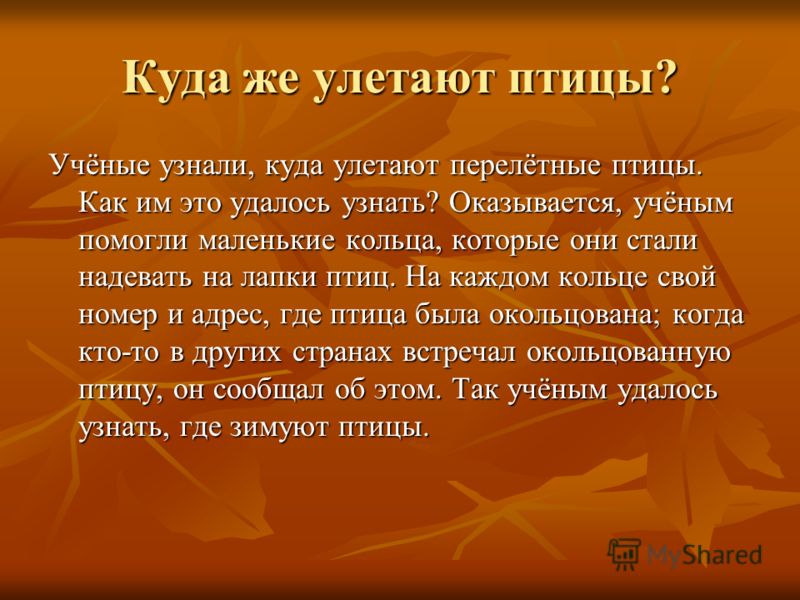 Снегирев куда улетают птицы на зиму план рассказа