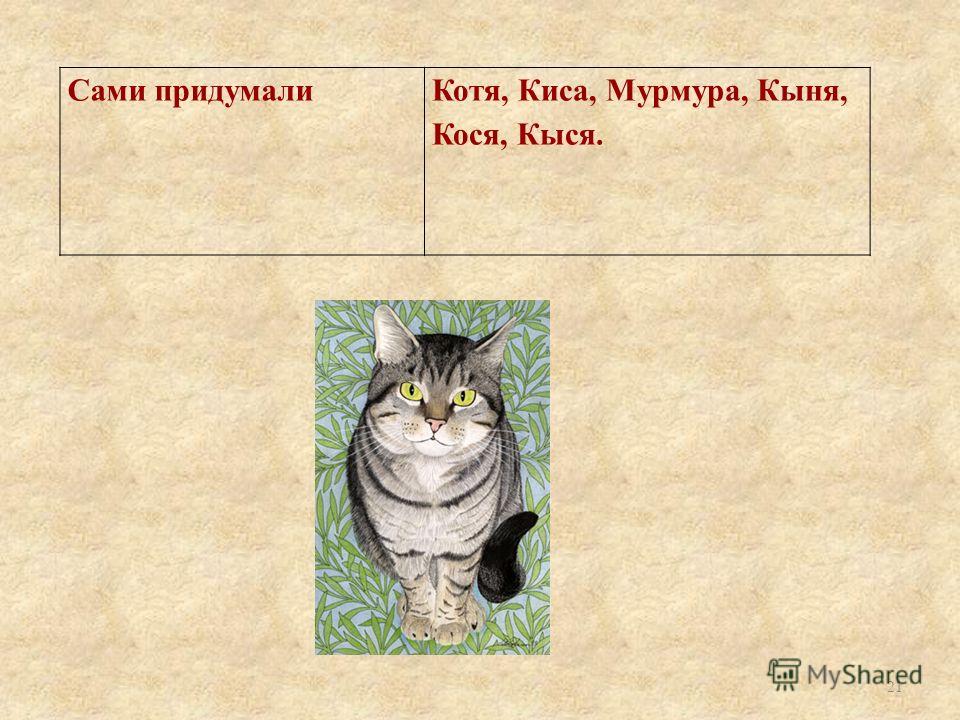 Клички для кошек. Имена для кошек. Клички для котят. Красивое имя для кота.