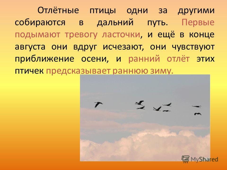 Найдите предложение соответствующее схеме гуси высоко летят