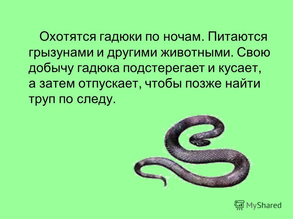Читать про змей