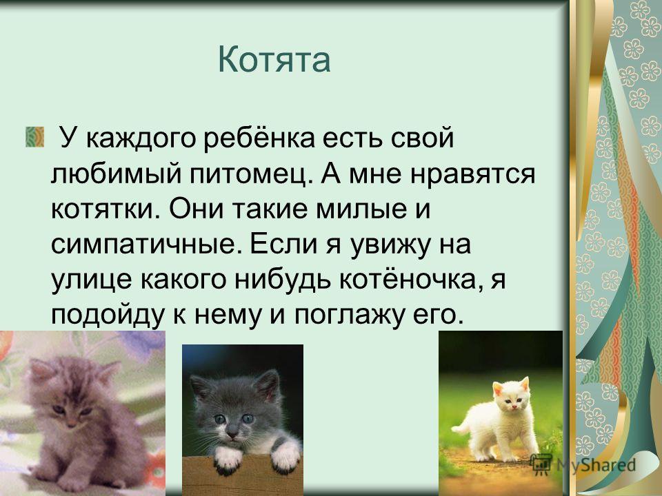 Мое любимое животное 2 класс. Сочинение про кошку. Рассказ о любимом животном. Сочинение про любимое животное.