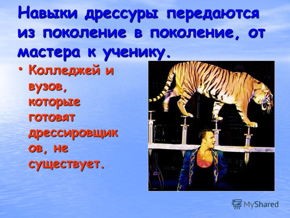 Укротитель как пишется. Дрессировщик профессия презентация. Профессии передаваемые из поколения в поколение. Дрессировщик для презентации. Дрессировщик профессия описание.