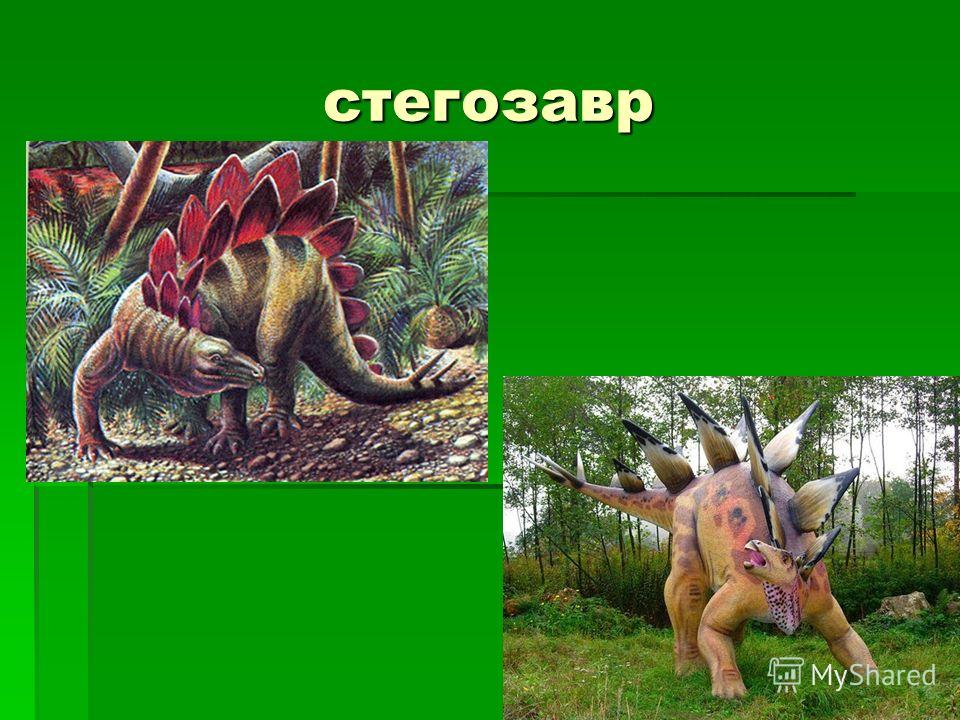 Когда жили динозавры видеоурок. Стегозавр. Стегозавр презентация. Стегозавр хищник или травоядный. Стегозавр описание.