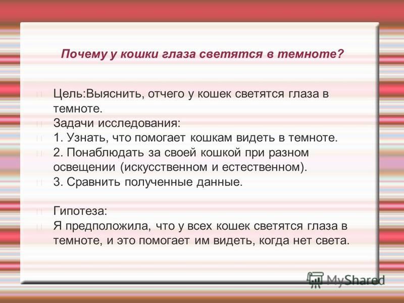 Почему у кошки светятся глаза в темноте. Почему у кошек светятся глаза. Почему кошки видят в темноте исследовательская работа.