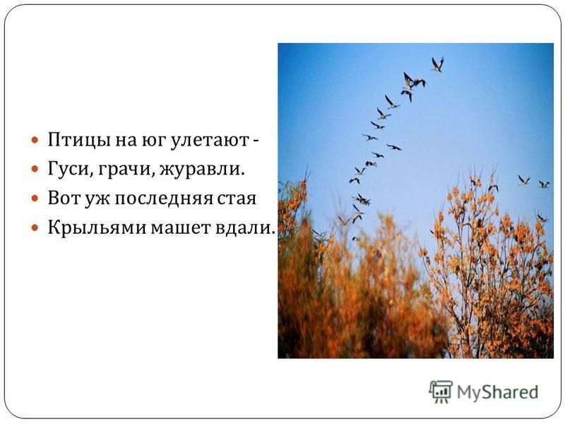 Среди птиц насекомых в сухой траве словом всюду даже в воздухе чувствовалось приближение осени схема