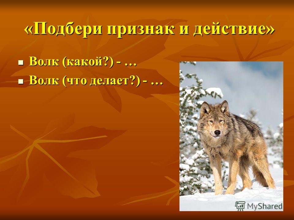 Волк какой. Признаки волка. Подбери признак. Подобрать признак волк какой волк какой.