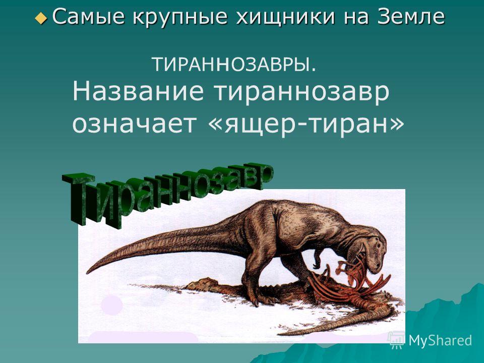 Крупнейший хищник на земле. Хищные динозавры названия. Динозавры презентация.