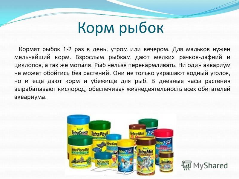 Как нужно кормить рыбок. Сколько корма нужно давать рыбкам. Сколько раз кормить рыб. Сколько нужно кормить аквариумных рыбок сухим кормом. Сколько раз кормить аквариумных рыбок сухим кормом.