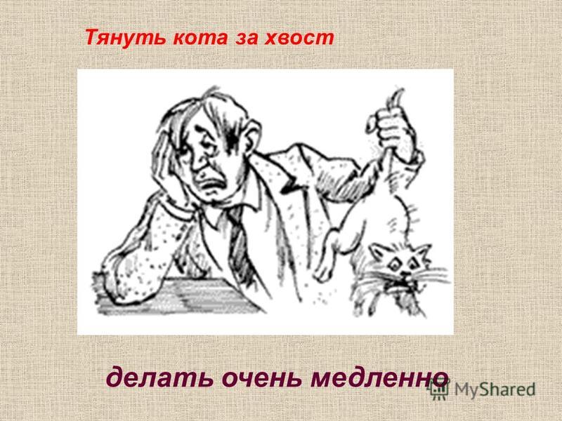 Тянуть хвоста за хвост фразеологизм. Тянуть кота за хвост. Фразеологизм тянуть кота за хвост. Тянуть кота за хвост значение. Тянуть кота за хвост значение фразеологизма.