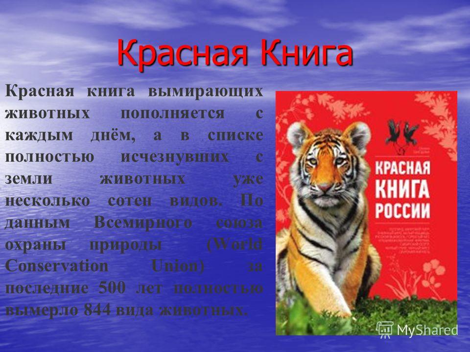 Проект на тему красная книга животных