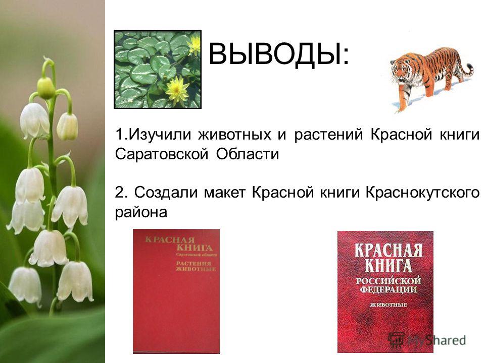 Растения красной книги презентация