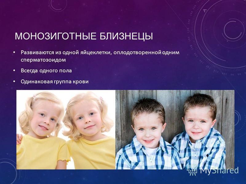 Близнецы похожи или нет проект по биологии