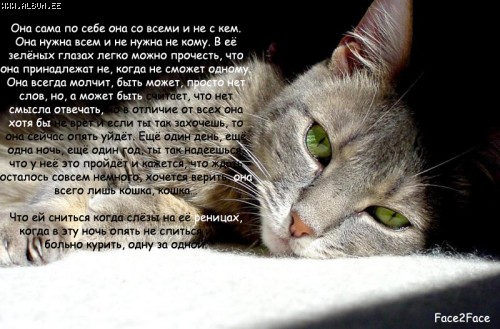 песня что ей снится когда слезы. стихи про врачей и докторов. сотни глаз и все на нас. цитата опора женская. к чему снятся слезы.