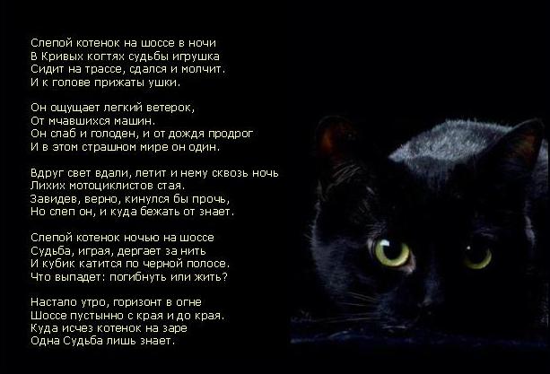 Слова про черный. Стих про черного кота. Стих про черного котика. Стих про кошку. Стих про черную кошку.