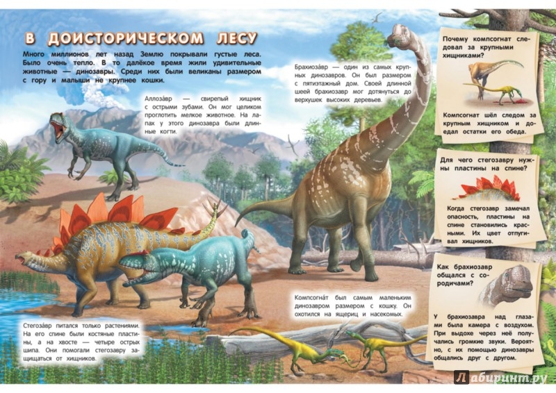 Про динозавров детям 3 года. Интересные рассказы про динозавров. Интересные рассказы про динозавров для детей. Интересные сведения о динозаврах для детей. Интересное про динозавров для детей.