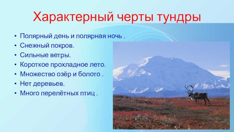 Понятие тундра. Природная зона тундра климат. Природная зона тундра 4 класс окружающий мир. Климат тундры в России. Зона тундры 4 класс окружающий мир.