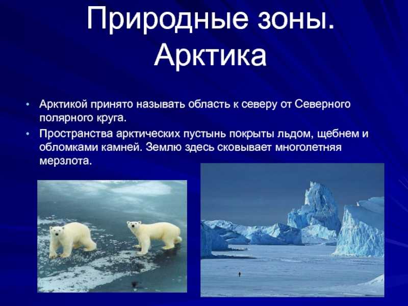 Какие особенности арктической пустыни. Природная зона арктических пустынь. Природные зоны России зона арктических пустынь. Природные зоны России арктические пустыни. Арктика зона арктических пустынь.