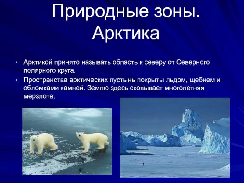 Зона арктических пустынь класс окружающий мир. Арктическая природная зона. Природная зона арктических пустынь. Арктика зона арктических пустынь. Природные зоны России Арктика.