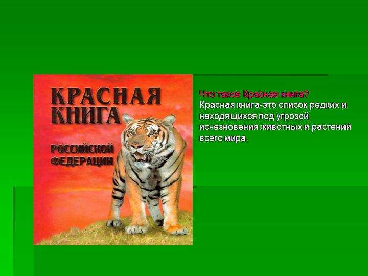 Проект животные красной книги россии 5 класс