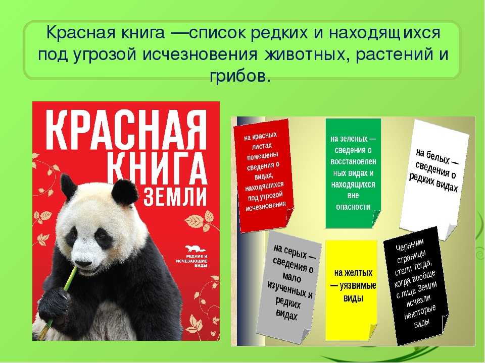 Красные книги их виды. Страницы красной киниг. Страницы красной книги России. Красные страницы красной книги. Международная красная книга страницы.