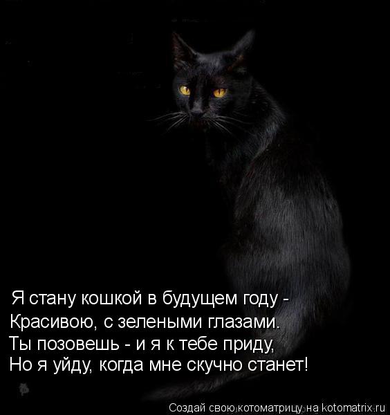 Кошка пришла и ушла. Стихотворение про черную кошку. Цитаты про черную кошку. Высказывания про черную кошку. Стихи про черных кошек.