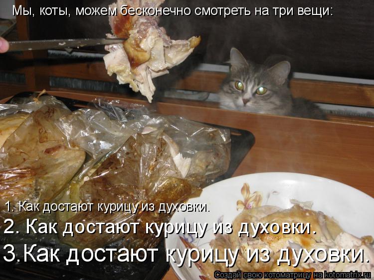 Сколько коты могут без еды и воды. Котик следит за духовкой. Кот доставай курочку. Забыла вытащить курицу из духовк.
