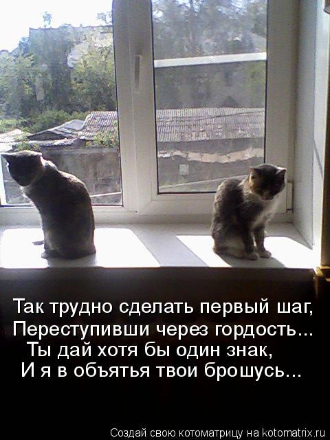 Первая иду на примирение. Стихотворение сидит кошка на окошке. Стихотворение кот у окна. Примирение картинки. Открытки чтобы помириться.