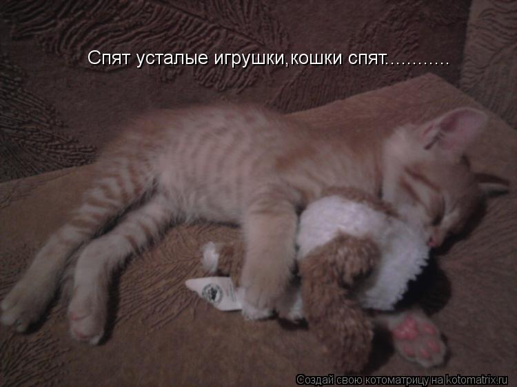 Сколько я поспал. Когда тебя разбудить летом. Спят усталые игрушки кошки спят. Во сколько тебя разбудить. Сколько спят кошки.