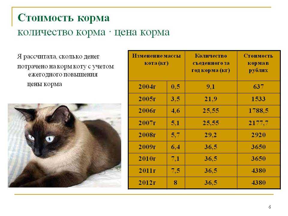 Количество корма кошке в день. Вес животных таблица. Таблица веса кота. Рассчитать количество корма для кота. Вес домашних животных таблица.