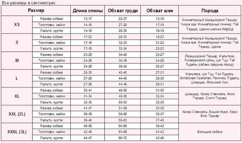 Мерки йоркширского терьера. Таблица размеров обуви для собак крупных пород. Обхват шеи английского кокер спаниеля. Обхват шеи собаки. Таблица размеров одежды для собак.