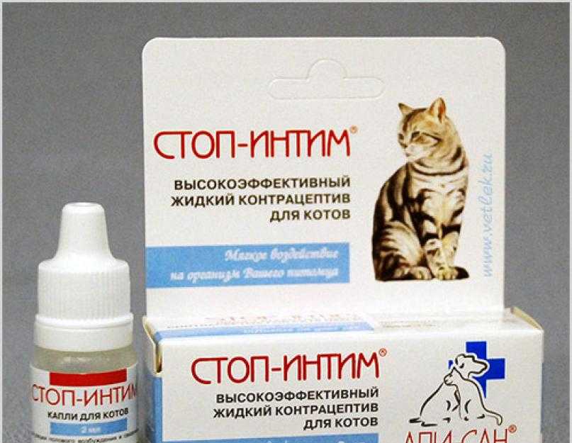 Таблетки после стерилизации. Гормональные для котов. Препарат для стерилизации кошек. Гормональные препараты для кошек. Капли для котов.