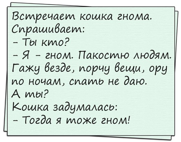 Кошка гадит везде. Шутка про 24. Анекдоты про 24.06. Анекдот о кошке и гномике. Кошка и Гном анекдот.