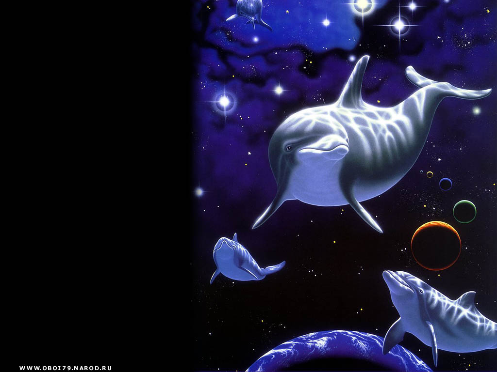 Рыбы спят ночью. Дельфины ночью. Спокойной ночи рыбка. Доброй ночи дельфины. Спокойной ночи подводный мир.