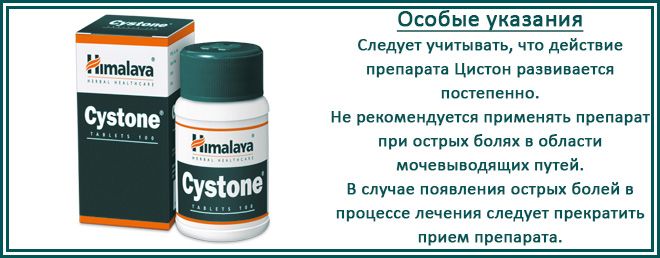 Цистон или канефрон. Особые указания цистон. Цистон аналоги. Цистон и канефрон. Цистон или фитолизин.