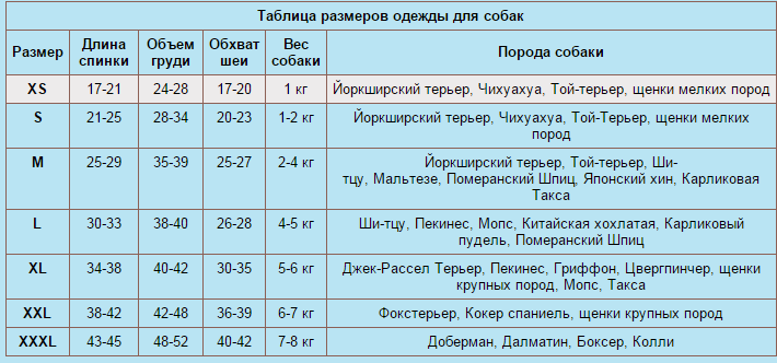 Собака вес таблица. Таблица веса щенка мальтийской Болонки. Размеры собак. Размер собаки по весу щенка. Размер одежды на собаку болонка.