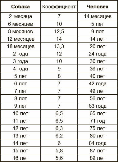 Собаке 11 лет сколько по человеческим меркам таблица фото на русском языке