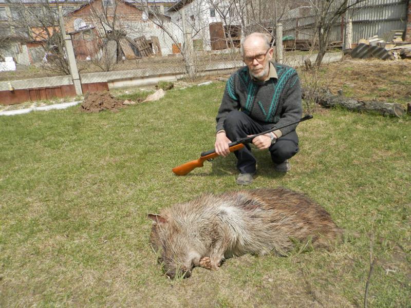 Большая крыса. Самая большая крыса в мире.