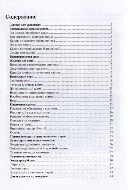 Что можно крысам. Что нужно для крысы список. Список что можно давать крысам. Список для крысы. Что нужно купить для крысы список.