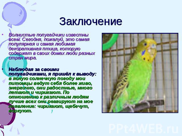 Текст описание про попугая. Описание попугая. Рассказ о попугае. Волнистый попугай презентация. Презентация на тему волнистых попугаев.