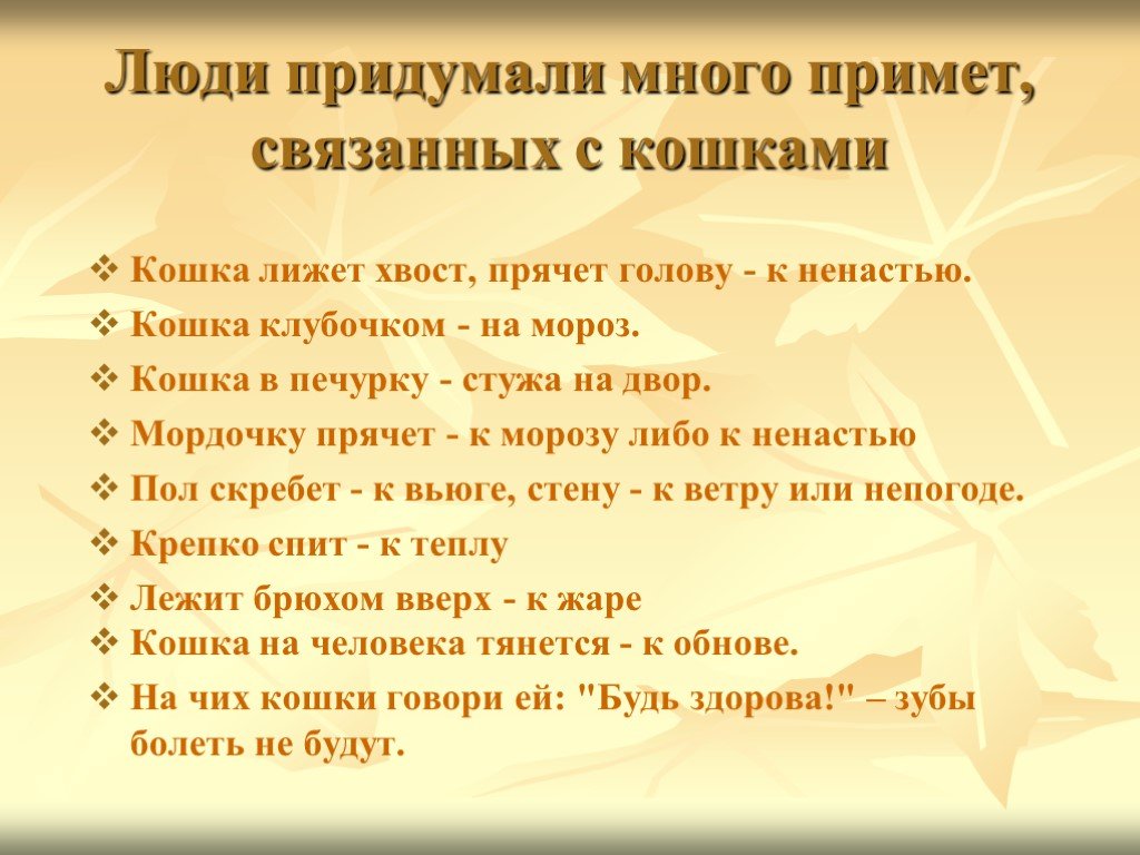 Примета прийти. Народные приметы связанные с кошками. Народные приметы связанные с кошками для детей. Придумывают приметы. Суеверия связанные с кошками.