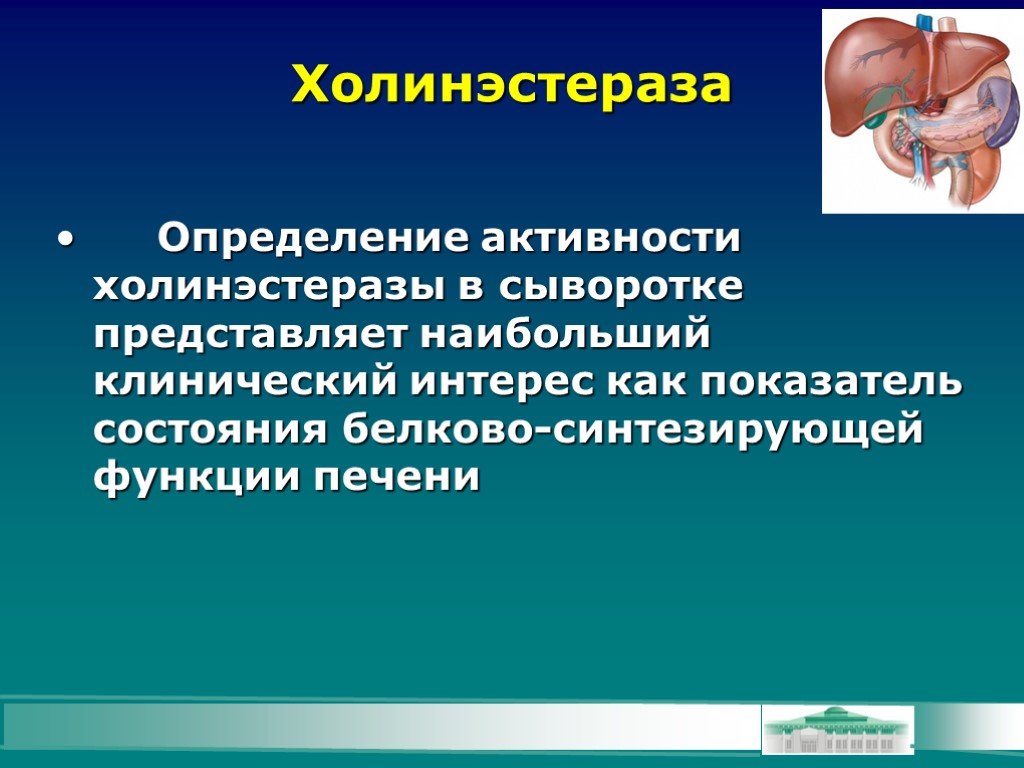 Ф е м е н. Холинэстераза. Функции холинэстеразы. Холинэстераза снижена. Активность холинэстеразы.